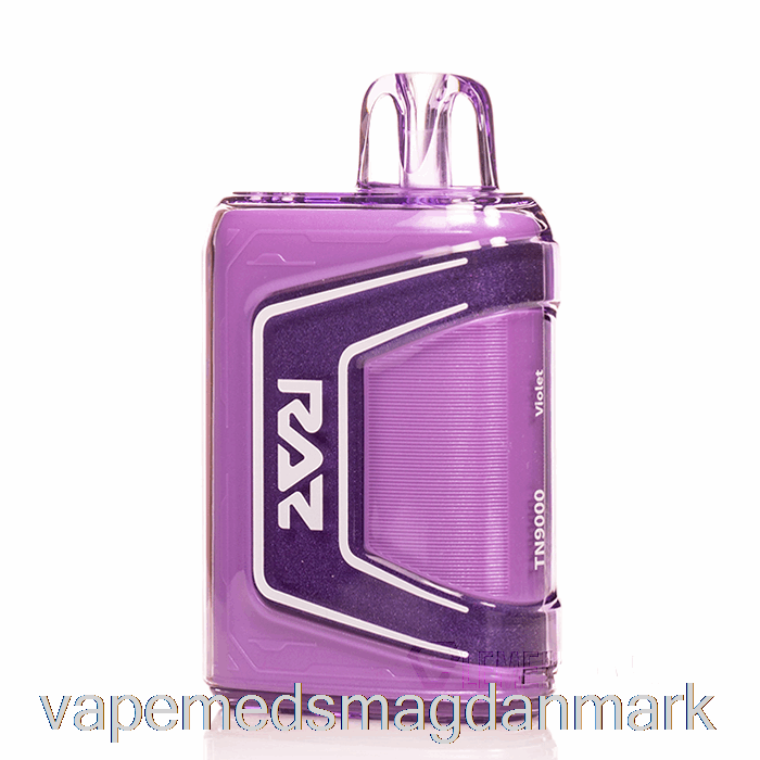 Vape Uden Nikotin Raz Tn9000 Engangsviolet